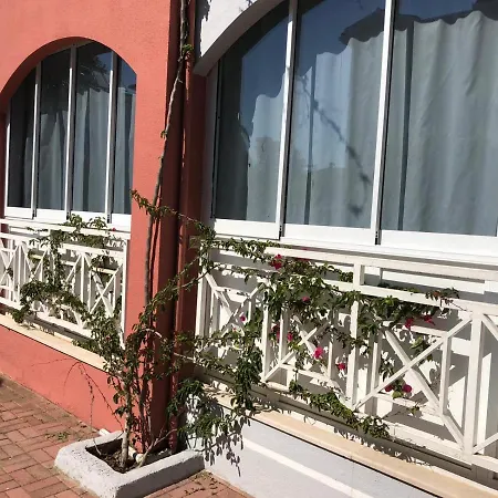 Pamfilya Houses アパート シダ