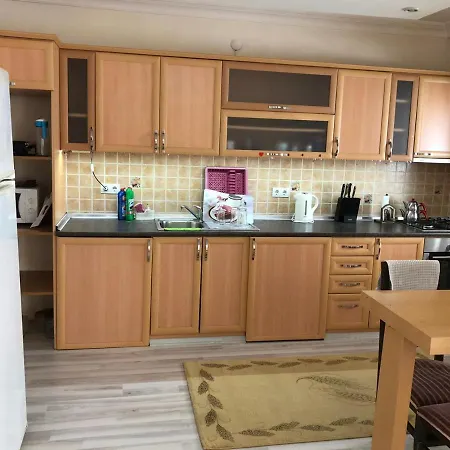 Pamfilya Houses * シダ